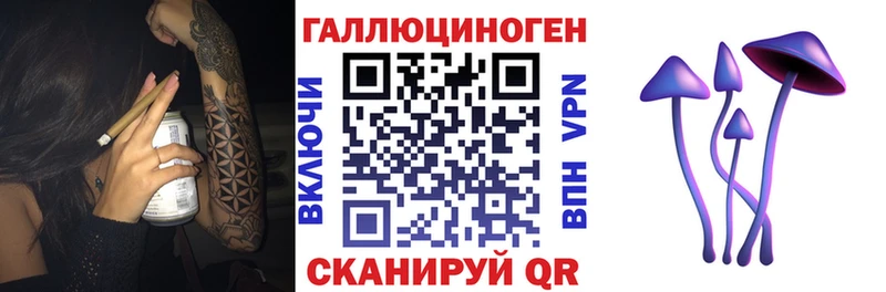 Псилоцибиновые грибы Psilocybe  Ельня 